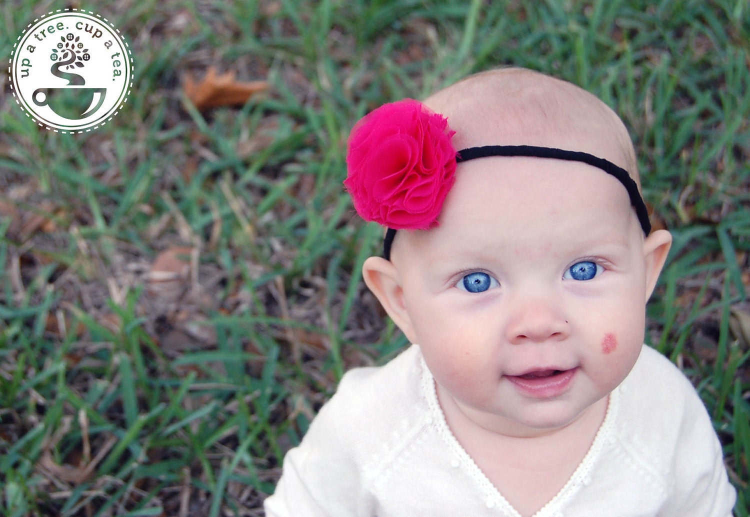 Chloe - Chiffon Carnation Headband