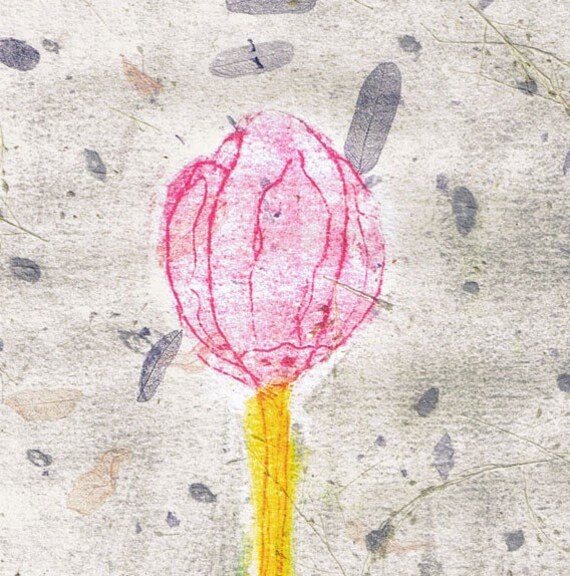 Tulip - Chine colle