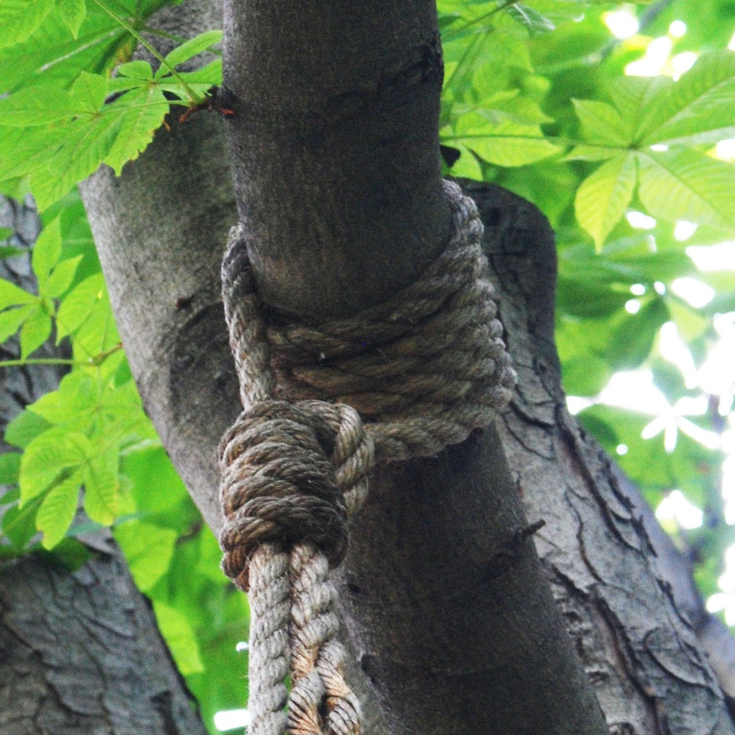 Tree Swing Made of reclaimed wood