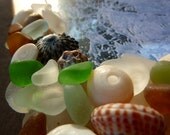Sea Glass Frame with Hawaii Sea Glass and Shells