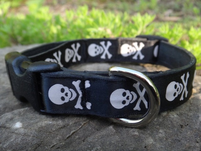 Pet Collar- Dog or Cat - Recycled Bike Tube