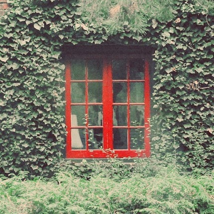Still Life Photography, Red Window, 5x5 Print, Green Ivy, Whimsical, Home Decor, Summer Cottage
