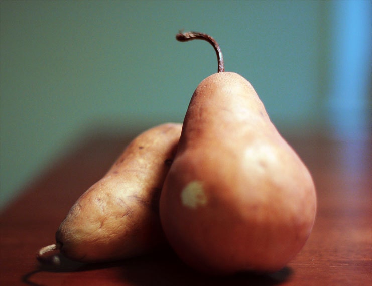 Pears Photograph 8x10 Still Life Print - kitchen decor food photography quiet painterly soft brown teal turquoise