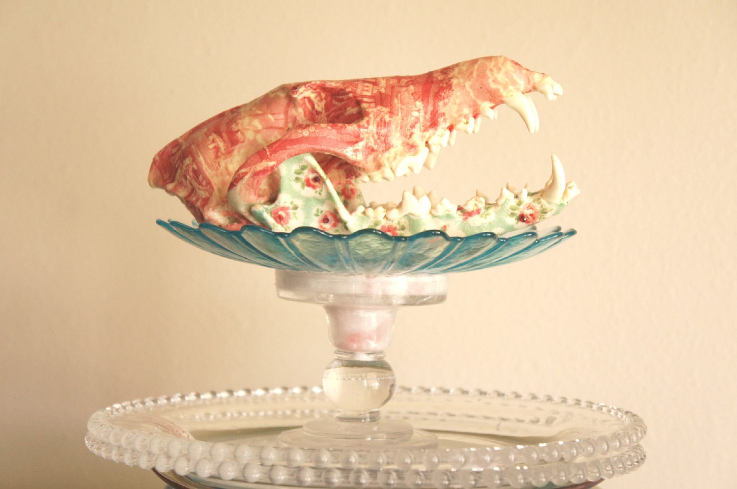 Chinoiserie and Floral Coyote Skull Decorated Taxidermy