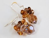 Golden Crystal Silver Wrapped Earrings