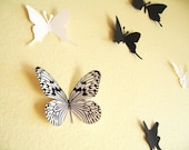 16 3D Paper Butterflies, Black and White, Wall Decor,Decal,Nursery, Baby, Wedding Decor,Shower, Girls Room, Eco-friendly Simplychiclily Etsy