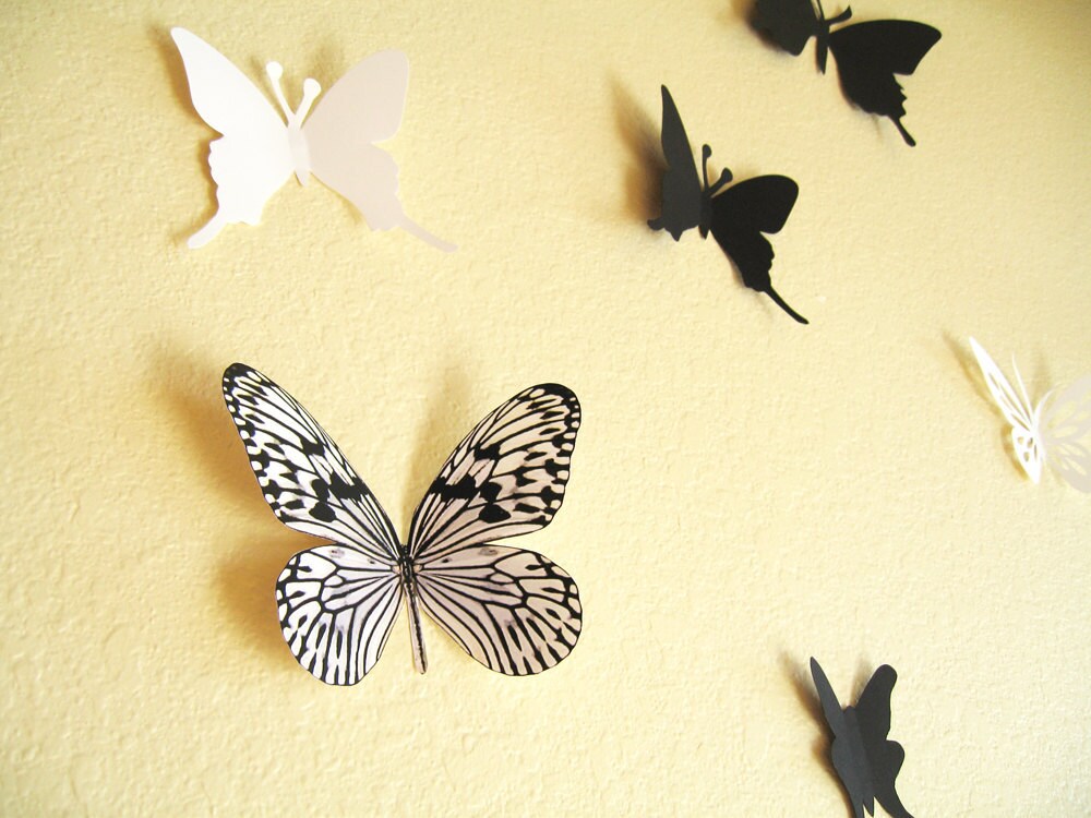 Decorticosis Black And White Butterfly Wall Hanging