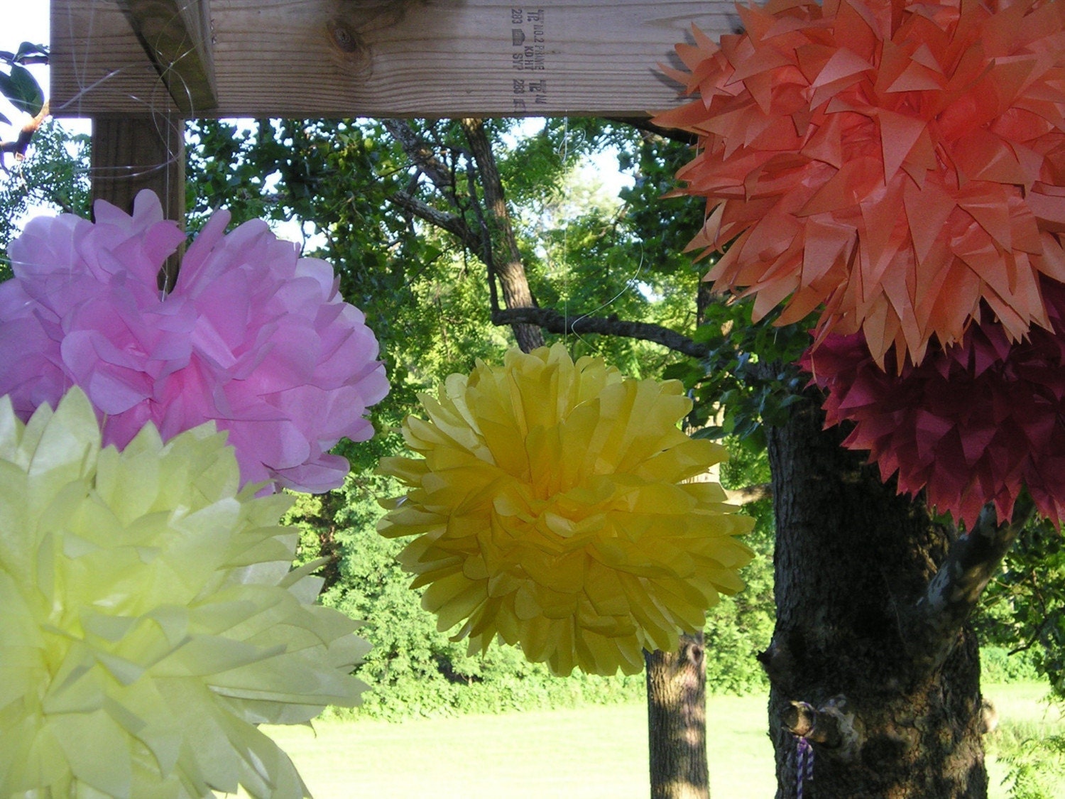 POM GRAND OPENING - Set of 5 Poms - YOUR COLOR CHOICE
