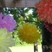 POM GRAND OPENING - Set of 5 Poms - YOUR COLOR CHOICE