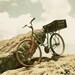 bicycle,bike,bicycle fine art photo,biker,rustic vintage bike,bicycle print,mint,brown,summertime,muted tones,film colors