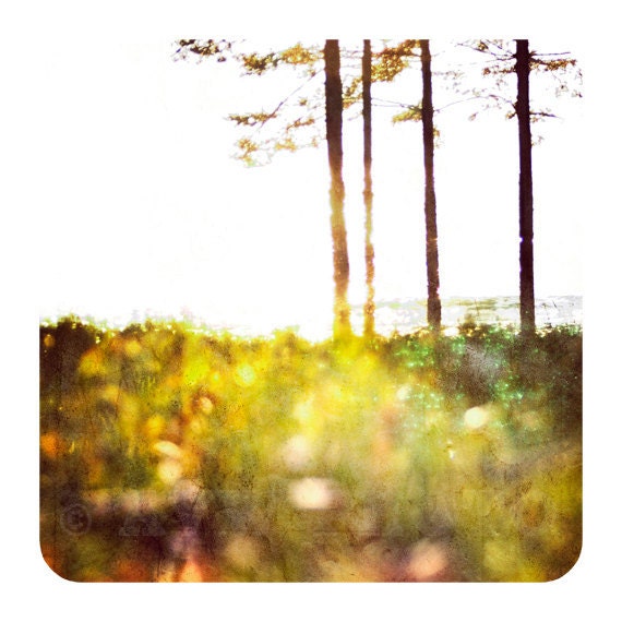 Ukon juhla (Summer Solstice) - 8x8 Fine Art Print