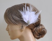 Birdcage Veil set with Feathers Fascinator (2 Items)