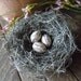 Romantic French Inspired Shabby Chic Handmade Bird Nest with Vanilla Ivory Script Eggs Wedding Decor by AMarigoldLife