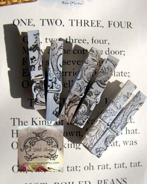 Mini Clothespins Pale Blue French Designs