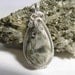 Minnesota Stromatolite Wire Wrapped Pendant