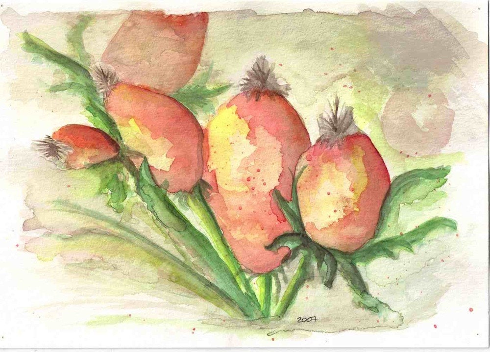 Crab apples Original  Watercolor painting flower tress art
