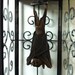 Taxidermy Bat In a Lantern Curio 2...with a boner