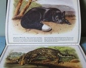 SALE...Favorite Animals by J.J. Audubon