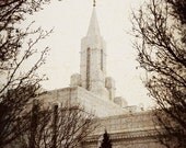 Wintertide Texture Bountiful Temple Portrait 11 x 14