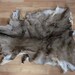 Deer Hide