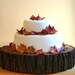 20" Tree Slab Cake Stand Aspen