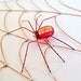 Copper Spider Web Autumn Large Handmade