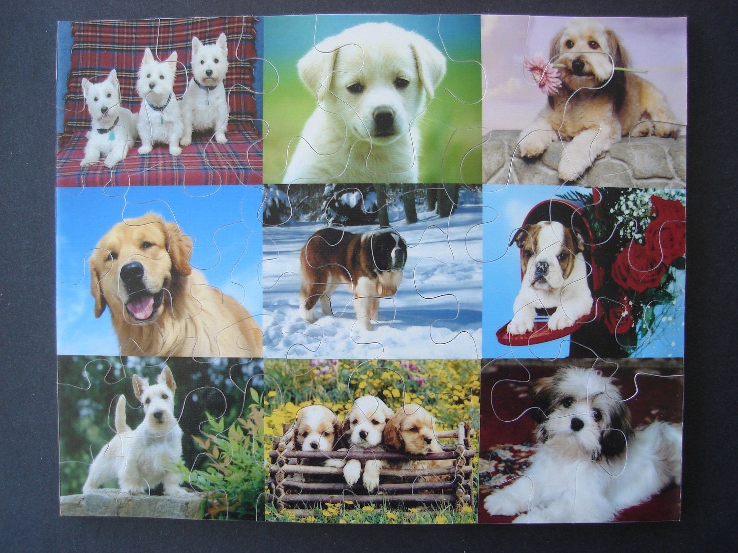 Wooden Jigsaw Puzzle Hand Cut With 34 Large Pieces Ready to Ship