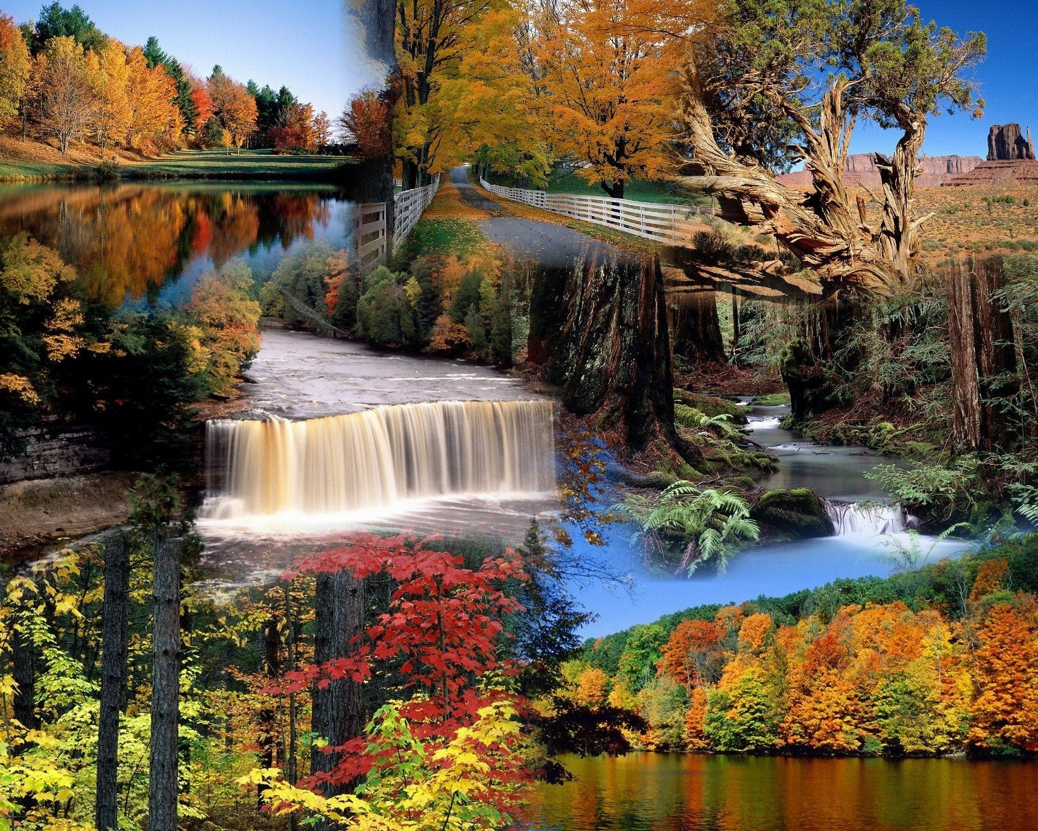 Wooden Jigsaw Puzzle 8 X 10 With 217 Pieces Ready To Ship With Free Shipping