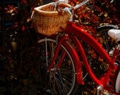 Getting Around 5x5 red riding bike with basket