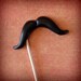 Mustache on a Stick - The Connoisseur - Single