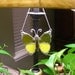 Yellow Victorian Butterfly