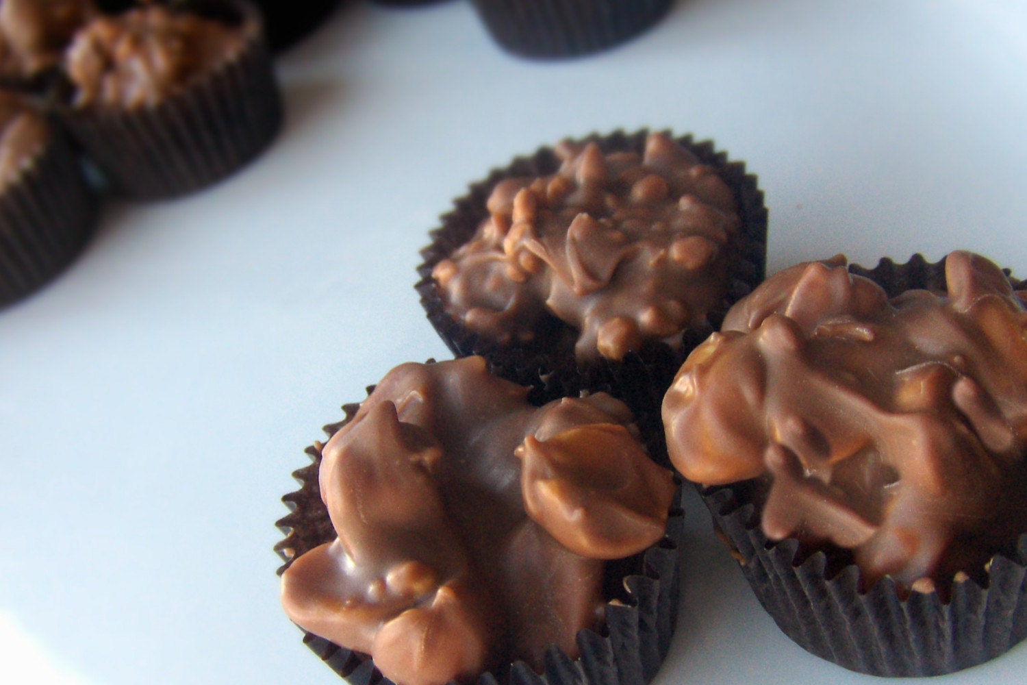 Half Pound Nuts and Caramels Hand Dipped Chocolates