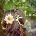 Nature girl halo in nude pink- style C100