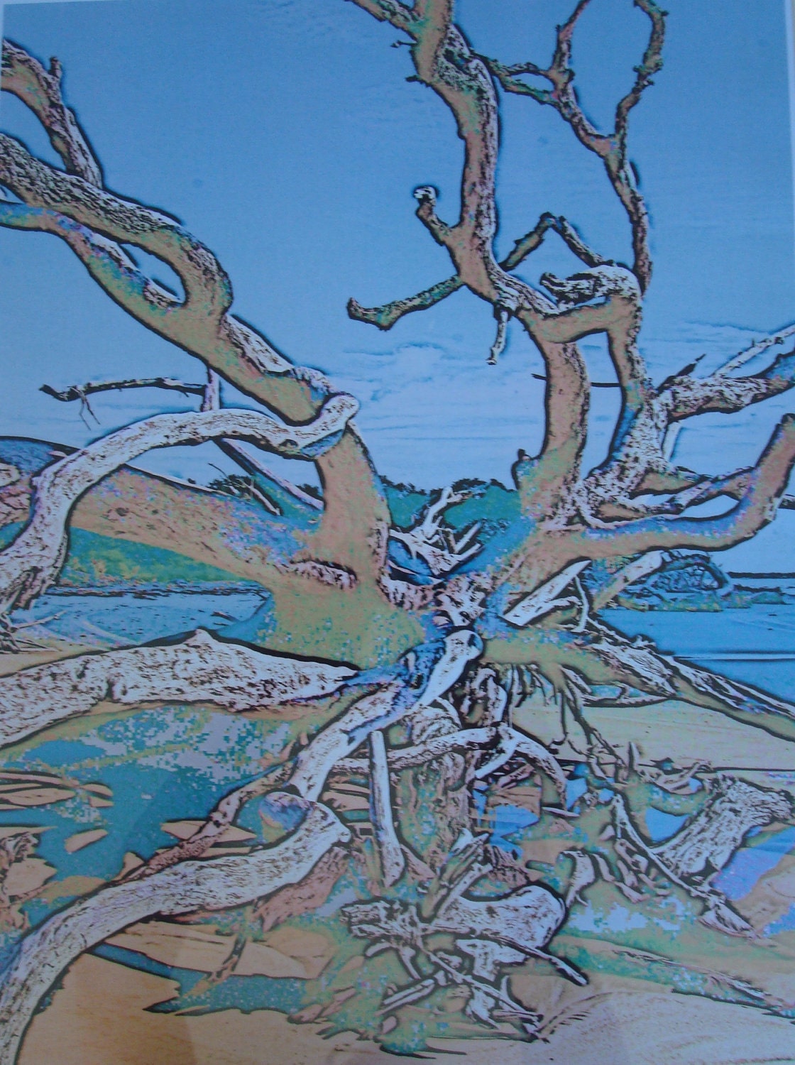 Driftwood  A3