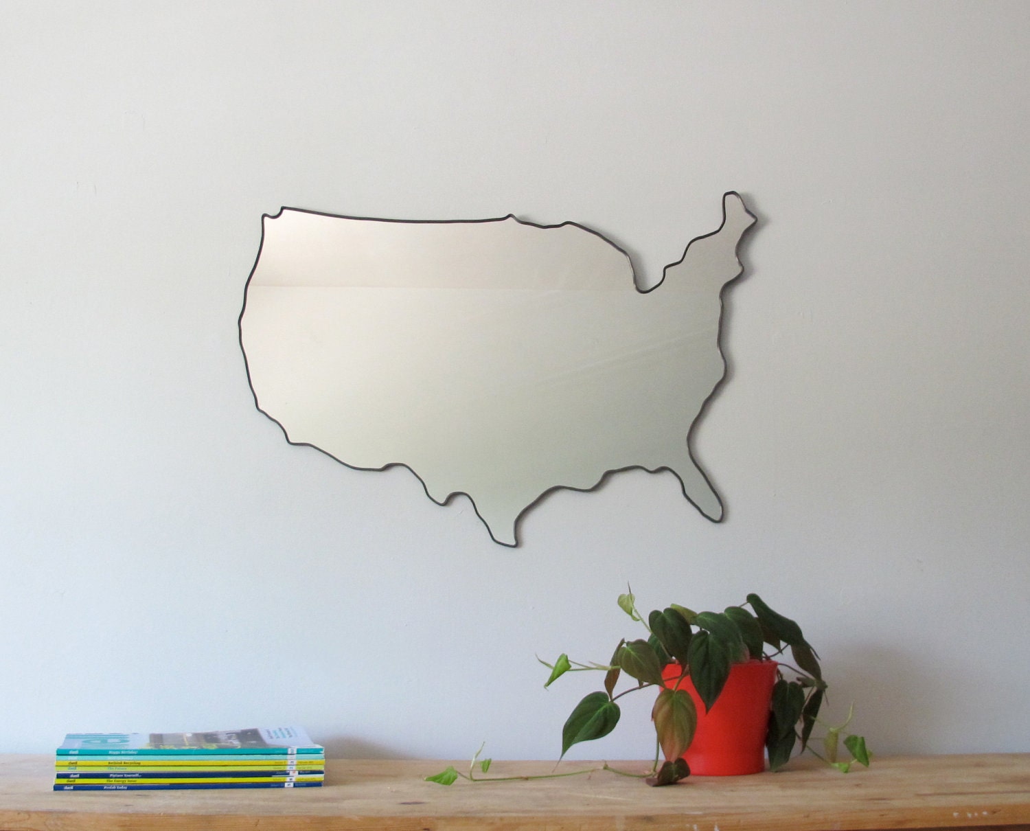 United States of America Mirror