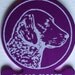 Breed Specific Dog ID -- Laser Engraved -- Personalized  (Made in the USA)