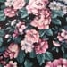Floral Vintage Fabric Destash Cotton Blend