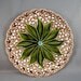 Antique Majolica Plate of Lily of the Valley by Villeroy & Boch