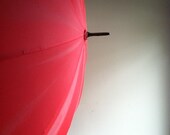 Umbrella - Awesome Orange with White Handle
