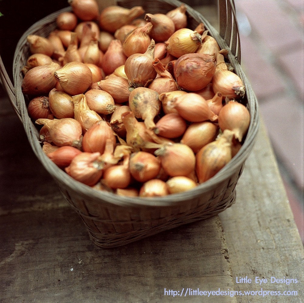 Pictures Of Shallots