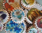 Large Vintage Botanical Print Floral 3 inch Sugar Cookies