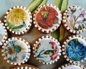 Vintage Botanical Flower  1 1/2 Inch Circle Sugar Cookies