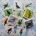 Vintage Bird Printed Cookies