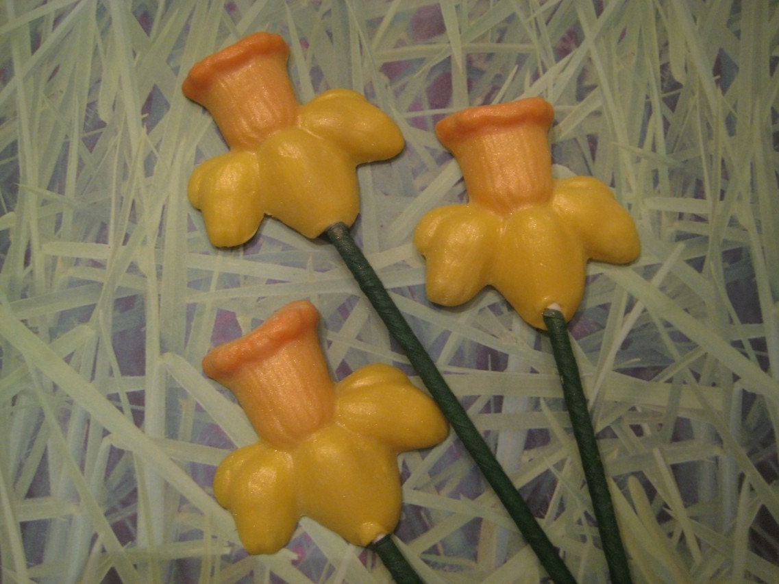 24-Chocolate Daffodil Lollipops