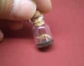 Apatosaurus / Brontosaurus in a tiny bottle