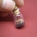 Apatosaurus / Brontosaurus in a tiny bottle