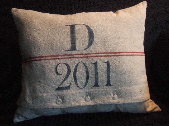 Custom Monogram And Year Pillow