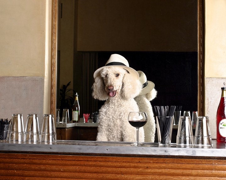Yappy Hour - 8 x 10 Print