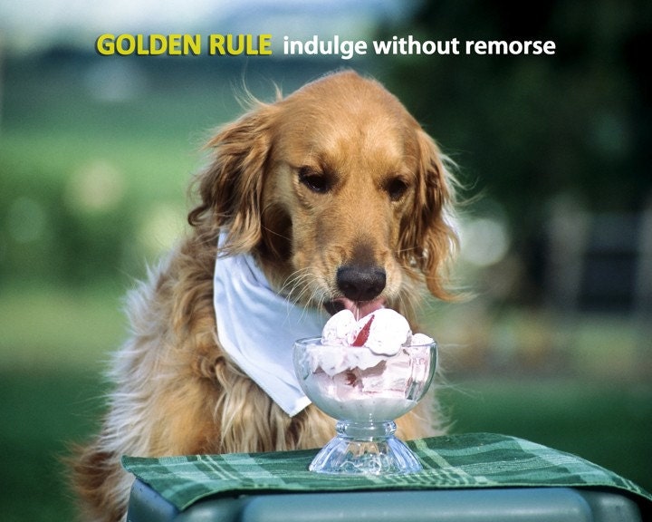 Golden Rule - Indulge Without Remorse (8 x 10 Print)