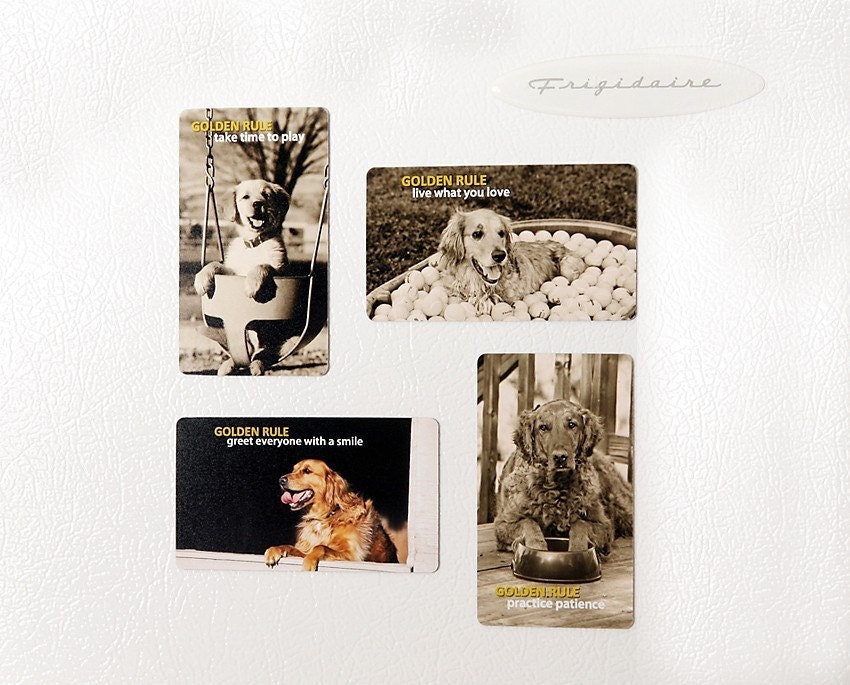 Golden Rule Magnet Set